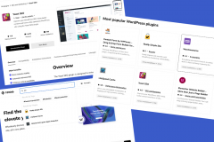 New Wordpress Plugin Store